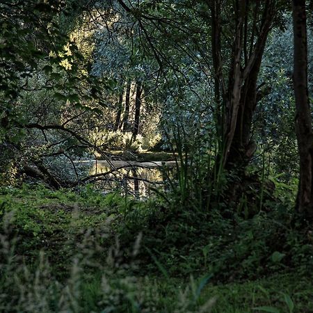 Les Cabanes Des Marais La Madelaine-sous-Montreuil ภายนอก รูปภาพ