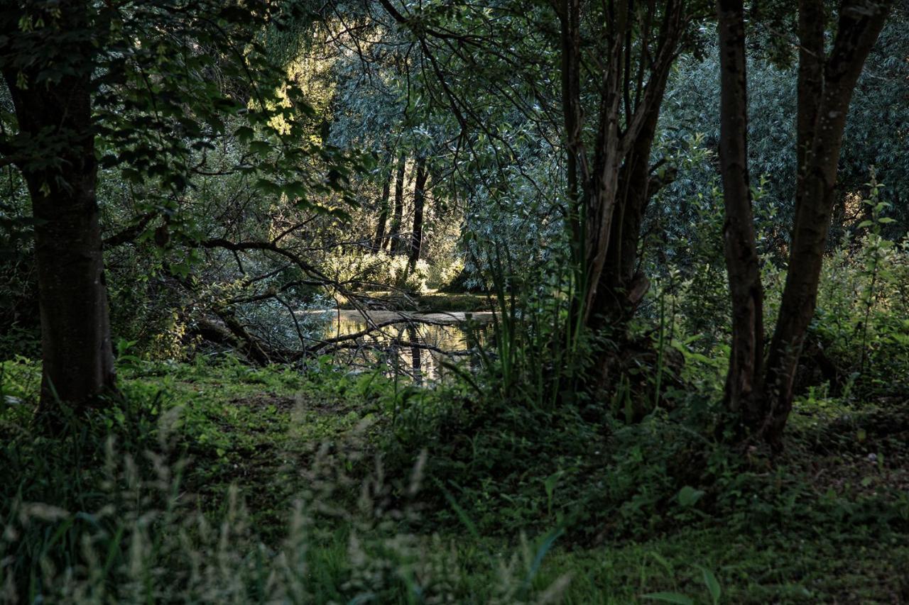 Les Cabanes Des Marais La Madelaine-sous-Montreuil ภายนอก รูปภาพ